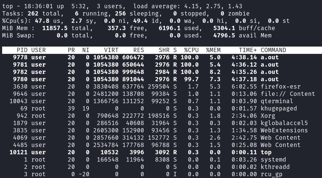 top command result